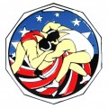 Decagon Colored Medal - Wrestling