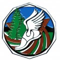 Decagon Colored Medal - Cross Country