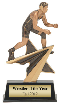 Star Power - Wrestling Male