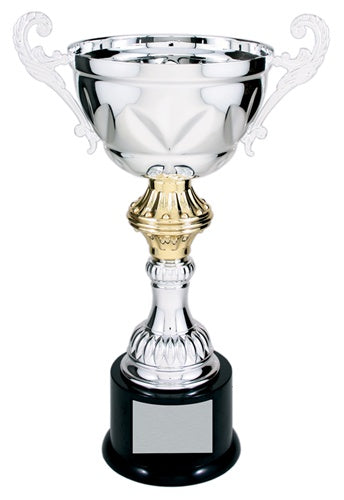 METAL CUP SERIES 13" SILVER
