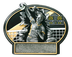 Burst Thru Resin Series - Volleyball Female Small