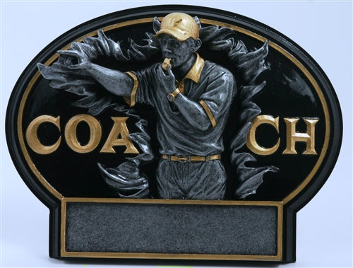 Burst Thru Resin Series - Coach