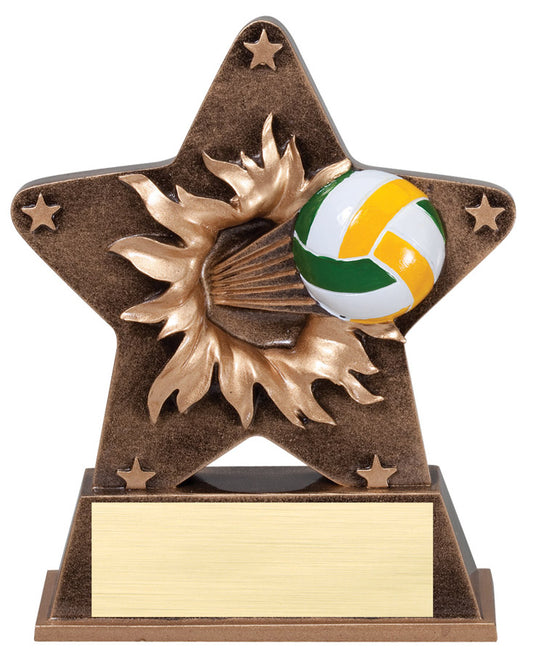 Starburst Sport Resin - Volleyball