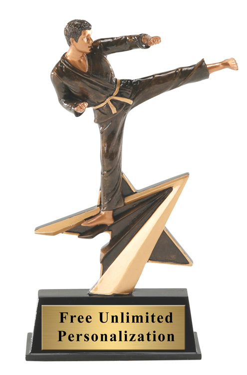 Star Power - Karate / Martial Arts