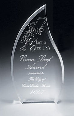 Flame Acrylic Award - Small Clear