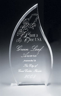 Flame Acrylic Award - Large Clear
