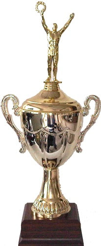 Metal Cup Series (with Lid) - Large Gold