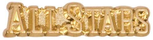 ALL STAR CHENILLE PINS