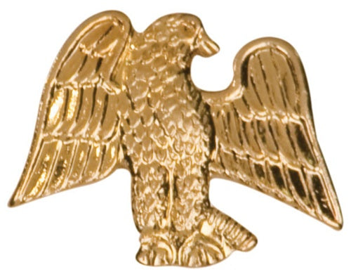 EAGLE CHENILLE PINS