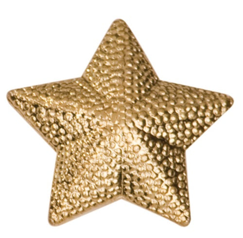 STAR CHENILLE PINS