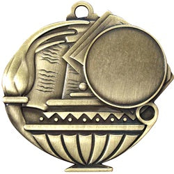 1" INSERT - Academic Performance Medal