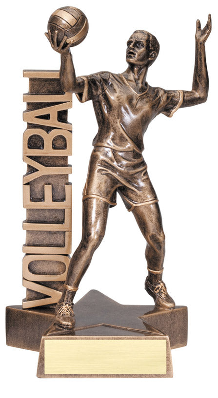 Male Volleyball Award - Billboard Resin Figure