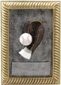 Gold Frame Award - Baseball