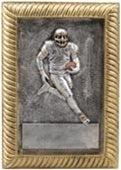 Gold Frame Award - Football