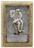 Gold Frame Award - Hockey