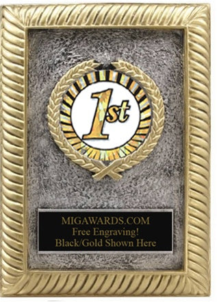 Gold Frame Award - Mylar Holder