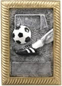 Gold Frame Award - Soccer