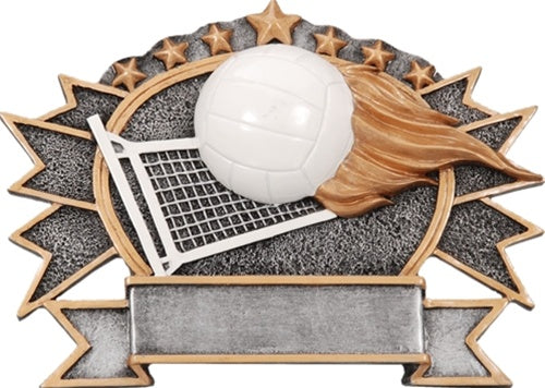 Sport Plate Resin Series - Volleyball